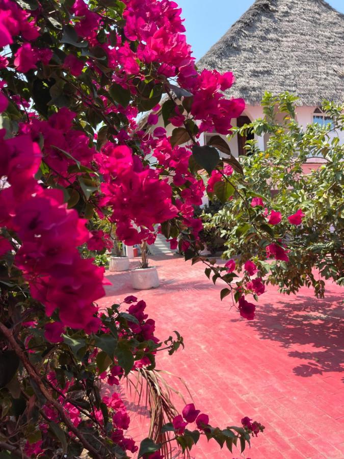 פאג'ה Villa Euphoria - Adults Only מראה חיצוני תמונה
